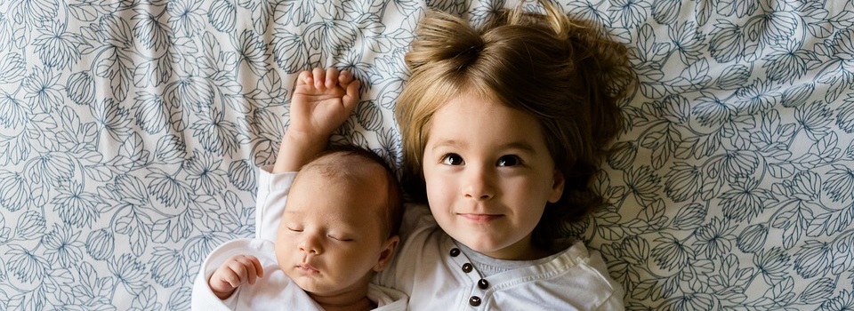 first borns slightly smarter than younger siblings