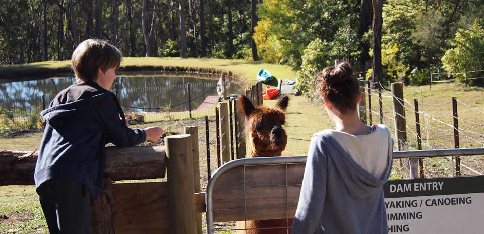 farm-stay-near-sydney