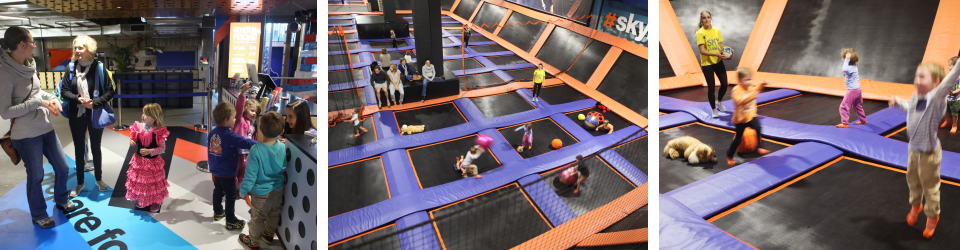 skyzone for toddlers 3