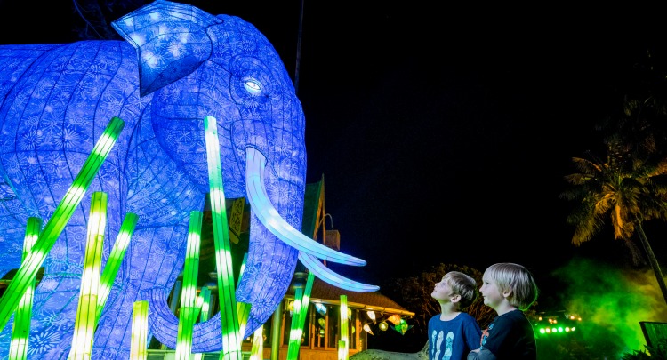 Vivid Sydney 2016, Taronga Zoo. 24/5/2016 Photo credt - James Horan / Destination NSW