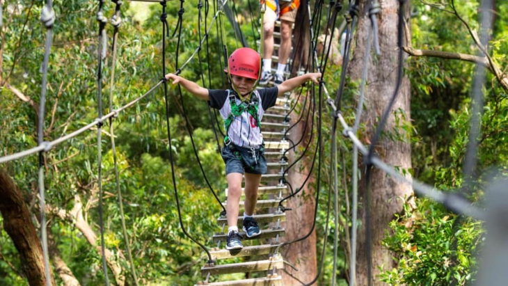 Illawarra Fly Treetop adventures