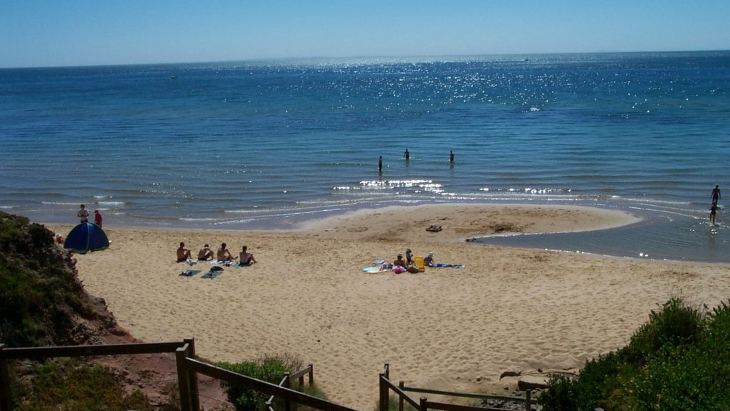 the-best-beaches-to-visit-with-toddlers-in-melbourne-ellaslist