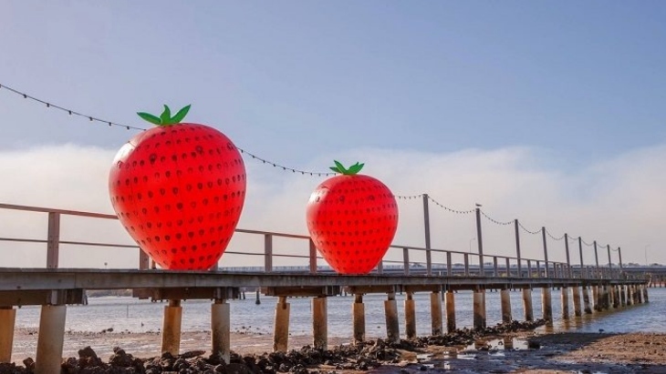 Sandstone Point Strawberry Festival