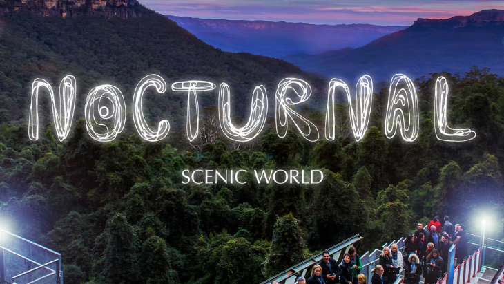 Scenic World Nocturnal: A Thrilling After-Dark Family Adventure | ellaslist