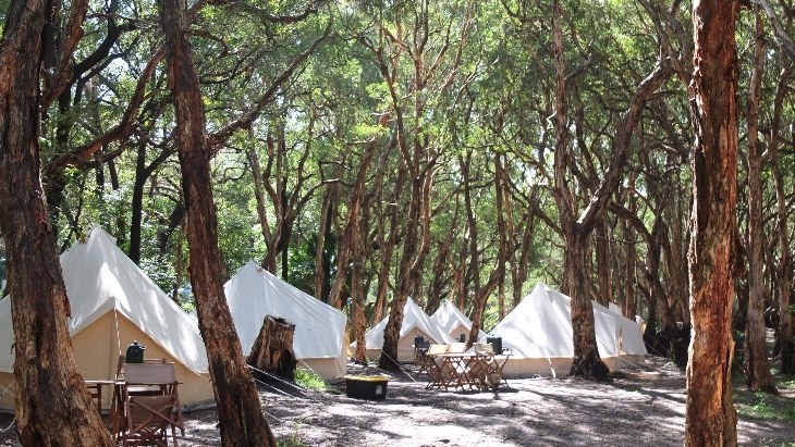 Treachery Camp glamping tents