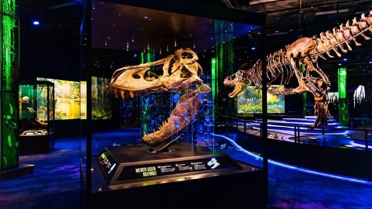 Victoria the T. rex at Melbourne Museum