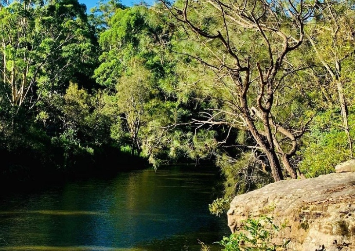 Wolli Creek Park Expands Into 45 Hectares of Glorious Natural | ellaslist