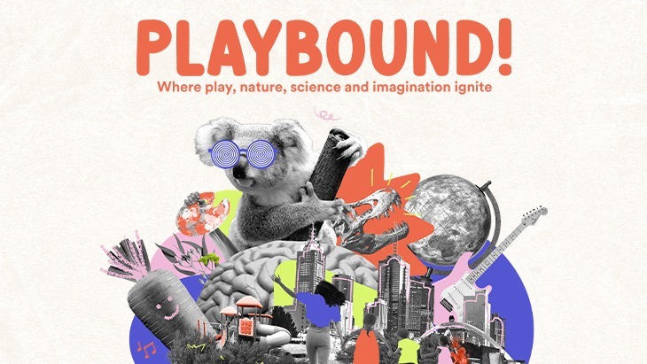 Melbourne Museum Playbound