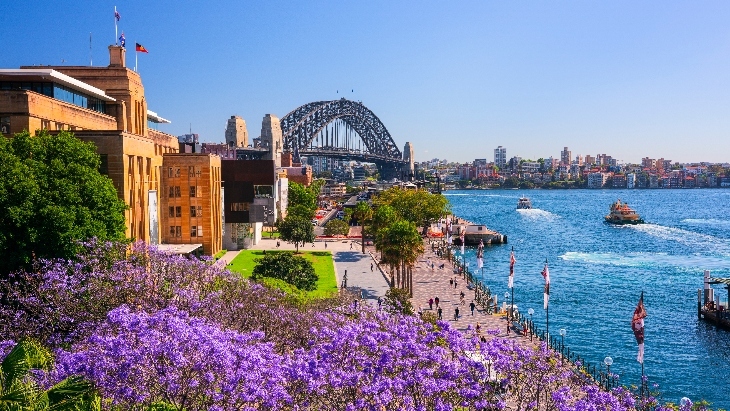 Where to see Sydney's Jacaranda Trees in Full Bloom | ellaslist