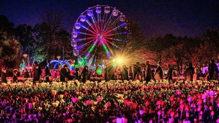 Spring in Sydney 2024: Events, Flowers, Festivals & Family Fun | ellaslist