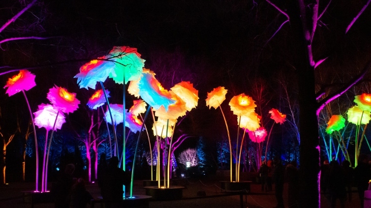 Illuminate Wollondilly Festival of Art and Light 2024