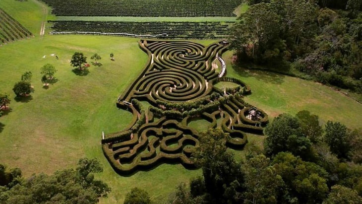 Mazes in Sydney