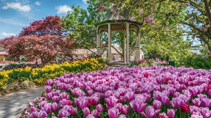 Corbett Gardens Bowral