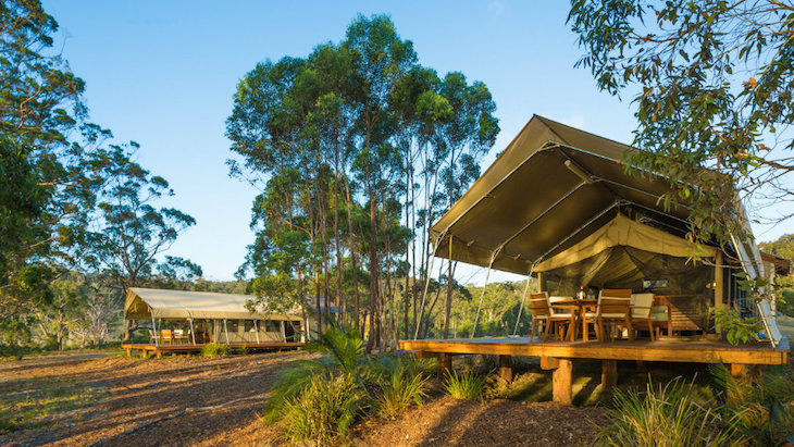 Glamping in NSW