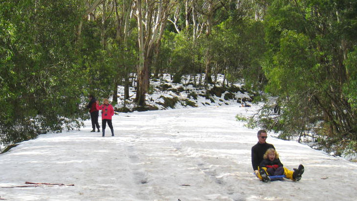 The best spots for snow near Melbourne 2024