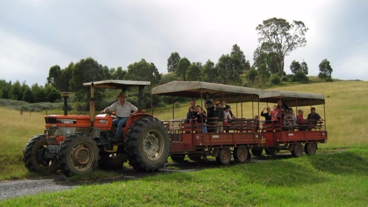 Tractor Rides at Calmsley