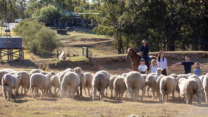 Farm Stay NSW - Tobruk Sheep Station, Maroota