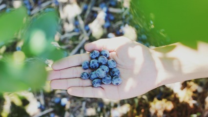 Blue berries