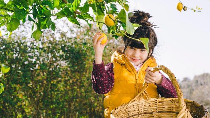 Winter fruit picking sydney