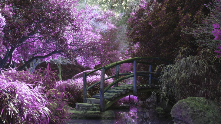 Secret garden sydney