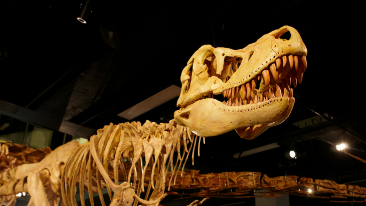 Got Dinosaur-Obsessed Kids? Get Prehistoric at these Great Melbourne ...