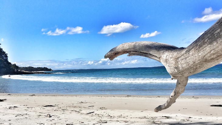 Jervis bay beach %281%29