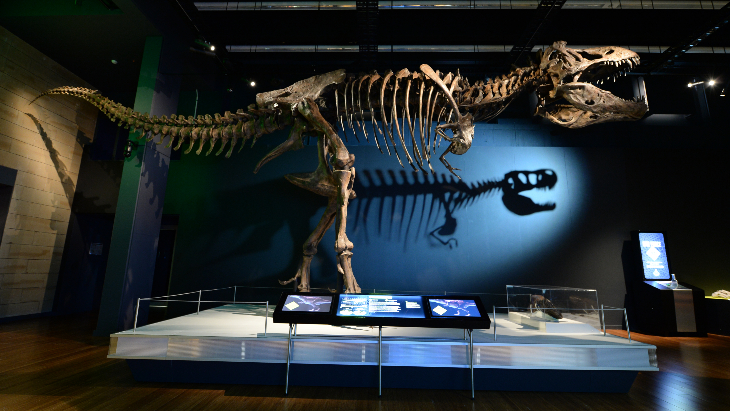 We Had A Dino-mite Time At The New-Look Australian Museum! | ellaslist