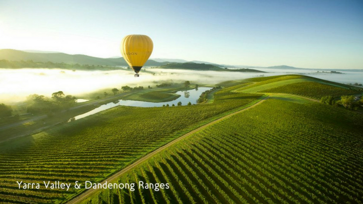 Take a Sunday Drive to the Yarra Valley | ellaslist