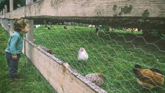 Farmstays